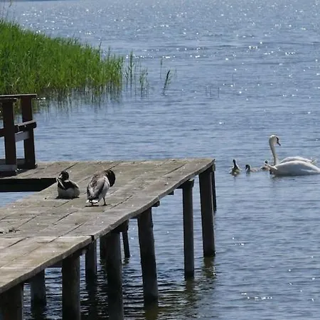 Hausboot In Am Bodden Kröslin
